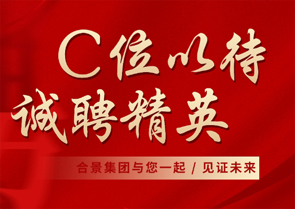 合景集團 | 業務高速增長 誠邀精英加盟